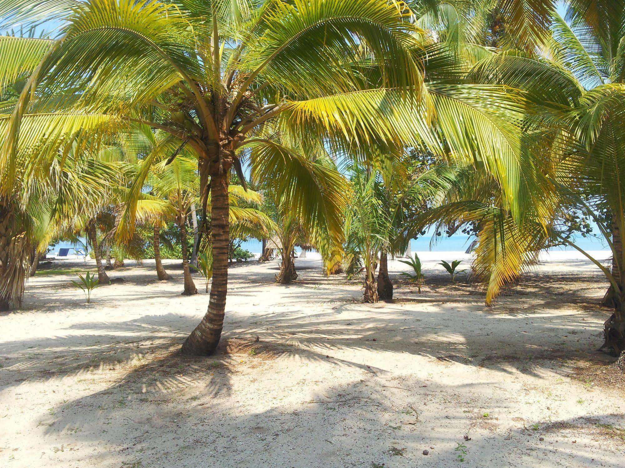Hotel Playa Mandala Palomino Ngoại thất bức ảnh