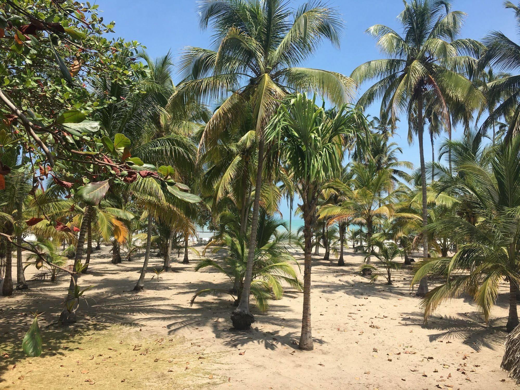 Hotel Playa Mandala Palomino Ngoại thất bức ảnh